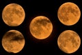 Full orange moon on Halloween night.