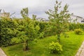Beautiful view of garden with apple trees on cloudy autumn day. Sweden.. Royalty Free Stock Photo