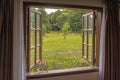 Beautiful view of the garden filled with blossomed yellow flowers from the open window