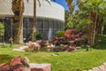 Beautiful view of garden with pink flamingos standing in pond with fountain.