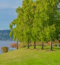 Beautiful view of Gene Coulon Memorial Beach Park in Renton, King County, Washington Royalty Free Stock Photo