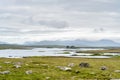 Beautiful view of Glenicmurrin Lough lake in Connemara region in Ireland. Scenic Irish countryside landscape with mountains on the