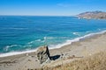 Beautiful North California Coastline, Sonoma, CA. Goat Rock Beach Royalty Free Stock Photo