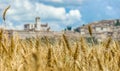 Beautiful view of golden harvest field and blurred town of Assisi in the background, Umbria, Italy