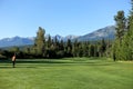 A beautiful view of a golf course on a sunny summer morning with the sun shining and blue sky, surrounded by tall trees. Royalty Free Stock Photo