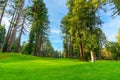 Beautiful view of a golf pole in the middle of the woods.