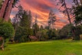 Beautiful view of a golf pole in the middle of the woods with a pink sunset sky.