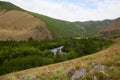 Beautiful view of the gorge of the mountain river, forest.