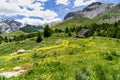 Beautiful view of green-covered hills of Col de Vars in Hautes Alpes, France