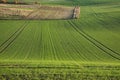 Beautiful view of a green field and a harvest in the background in Plancenoit, Belgium