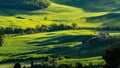 Beautiful view of green fields and meadows at sunset in Tuscany Royalty Free Stock Photo