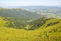 Beautiful view of green grassy valley, trees and mountains landscape on bright summer day under blue sky Royalty Free Stock Photo