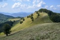 Beautiful view of green grassy valley, trees and mountains landscape on bright summer day under blue sky Royalty Free Stock Photo