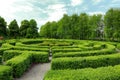 Beautiful view of green hedge maze on sunny day Royalty Free Stock Photo