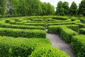 Beautiful view of green hedge maze on sunny day Royalty Free Stock Photo