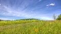 Beautiful view of a green meadow with colorful wildflowers on a sunny summer day Royalty Free Stock Photo