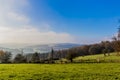 Beautiful view of a green meadow with trees and cable poles in the background