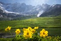 Beautiful view on green meadow with yellow flowers on foreground next to mountain on sunny clear summer day in Svaneti, Georgia