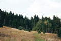 Beautiful view on green mountain hills with forest in sunny day. Trees and woods in Carpathian mountains. Exploring Europe. Royalty Free Stock Photo