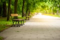 Beautiful view of green park with path and wooden bench. Space for text Royalty Free Stock Photo