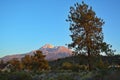 Beautiful view of the green valley with Mount Shasta in the background. California, USA. Royalty Free Stock Photo