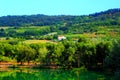 Beautiful view with green vegetation rolling over Marche hills with a white house and emerald waters