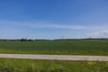 Beautiful view of green wheat fields from window of moving car on bright summer day on blue sky background. Royalty Free Stock Photo