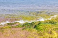 Beautiful view of green-yellow algae on the rocky shore of the Aegean Sea beach in Rhodes. Royalty Free Stock Photo