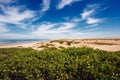 Beautiful view of greenery and sand dunes at a beach under a blue cloudy sky Royalty Free Stock Photo