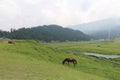 Beautiful view of Gulmarg Royalty Free Stock Photo