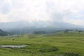 Beautiful view of Gulmarg Royalty Free Stock Photo