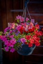 Beautiful view of a hanging basket of different flowers