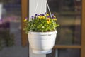 Beautiful view of hanging basket on white pillar with yellow purple pansies. Royalty Free Stock Photo