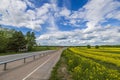 Beautiful view of the highway alongside rapeseed fields against the backdrop of the blue sky with white clouds. Royalty Free Stock Photo