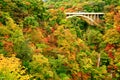 Highway bridge with colorful autumn leaves in Naruko gorge Royalty Free Stock Photo