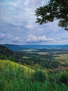 beautiful view on the hill, visible trees and green expanse of rice fields