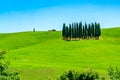 Beautiful view of hilly Tuscany in sunny day Royalty Free Stock Photo