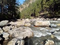 Beautiful view of Himalayan mountains, Flowers, Kasol Town, Parvati valley, Himachal Pradesh, India.