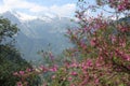 Beautiful view of Himalayan mountains, Kasol, Parvati valley, Himachal Pradesh, India. Royalty Free Stock Photo