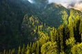 Kheerganga Trek is one of the most popular treks in Himachal Pradesh, India Royalty Free Stock Photo