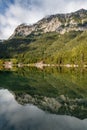 Beautiful view Hintersee Lake Alps mountain beautiful reflection tree meadow house in background, clear water, national park, Royalty Free Stock Photo