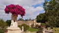 Beautiful view of historic Luxembourg Palace located in park Jardin du Luxembourg, Paris, France with purple colored flowers.