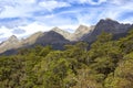 Beautiful view from Hollyford Valley Lookout, New Zealand Royalty Free Stock Photo