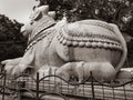 Beautiful view of huge white Nandi or Basava Stone Statue in Chamundi Betta. Sculpture design carving with bell and ornaments of
