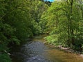 View of idyllic Wutach Gorge, Black Forest, Germany with flowing river and dense green vegetation of plants and trees. Royalty Free Stock Photo