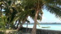 View of Indian coastal beach from Andaman nicobar island