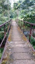 Beautiful view of indian village bridge.