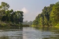 Beautiful view inside of the forest in Chitwan, Nepal. Royalty Free Stock Photo