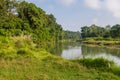 Beautiful view inside of the forest in Chitwan, Nepal. Royalty Free Stock Photo