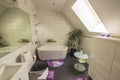 Beautiful view of interior of bathroom in the house. Roof window with flower, coffee table and carafe of water